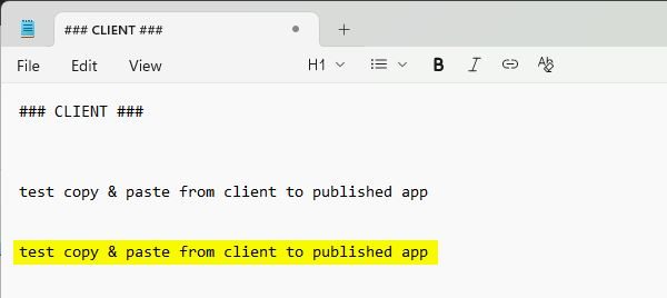 Omnissa Horizon abilitare copia e incolla dalle Applicazioni Pubblicate 8 copia e incolla 8