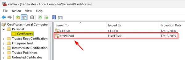 Come installare Nakivo in Hyper-V 42 installare nakivo in hyper-v 42