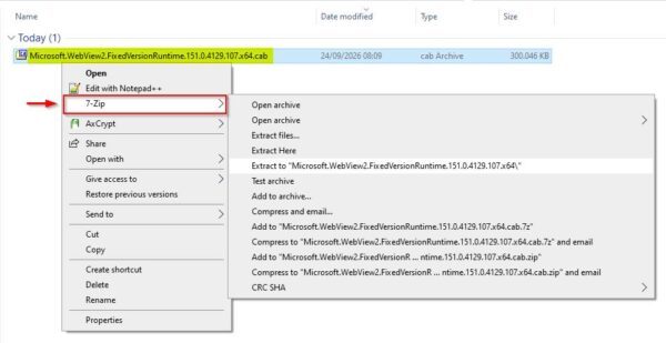 Il puntatore del mouse scompare nella console di Veeam 3 puntatore del mouse scompare 3